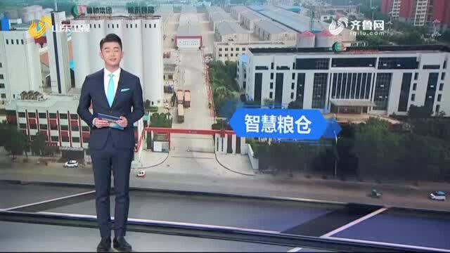 探寻德州齐河国家粮食储备库,解锁储粮中的“黑科技”