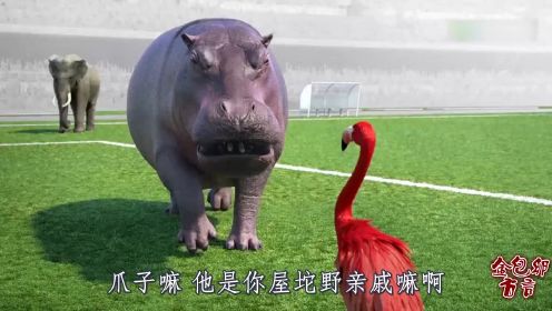 四川话爆笑配音：河马和大象踢足球，一言不合直接打架