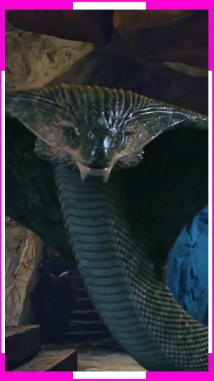 上古十大凶蛇巴蛇下超清60帧山海经蛇_腾讯视频