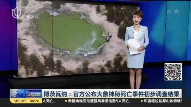 博茨瓦纳:官方公布大象神秘死亡事件初步调查结果