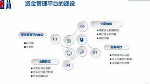 世界500强立邦如何搭建资金管理平台,财务经验分享