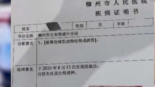 遛狗不牵绳还纵狗咬伤辅警 女子被拘10日并处罚款