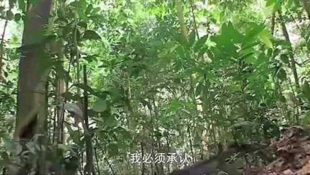 单挑荒野:德爷生气了,面部表情气鼓鼓的,原因竟是为了这个