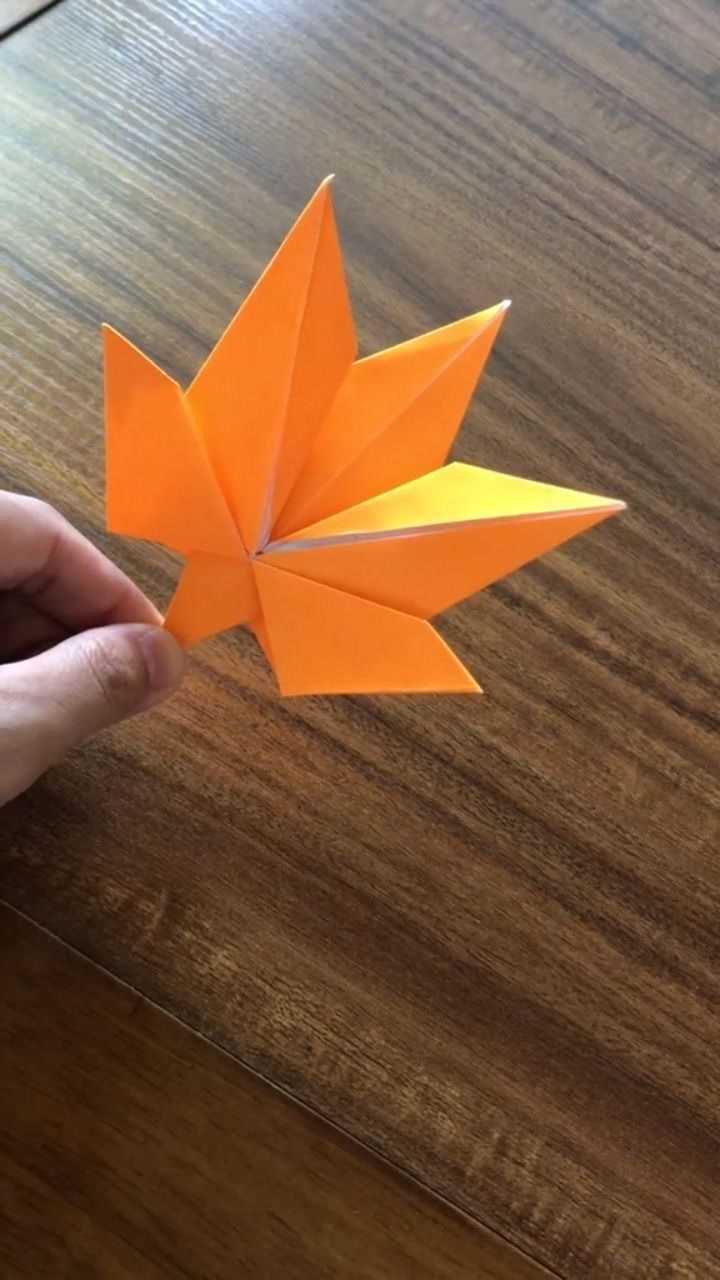 发现秋天的美枫叶折纸教程手工