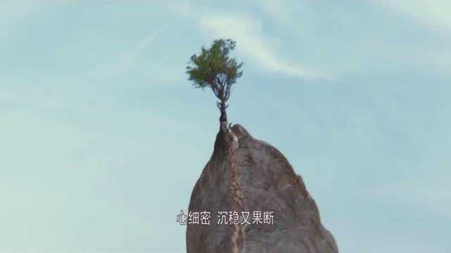 印度版《指环王》最华丽特效,最优美风景,最壮观场面,太漂亮了