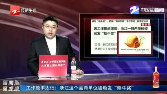 工作效率太低! 浙江这个县两单位被颁发“蜗牛奖”