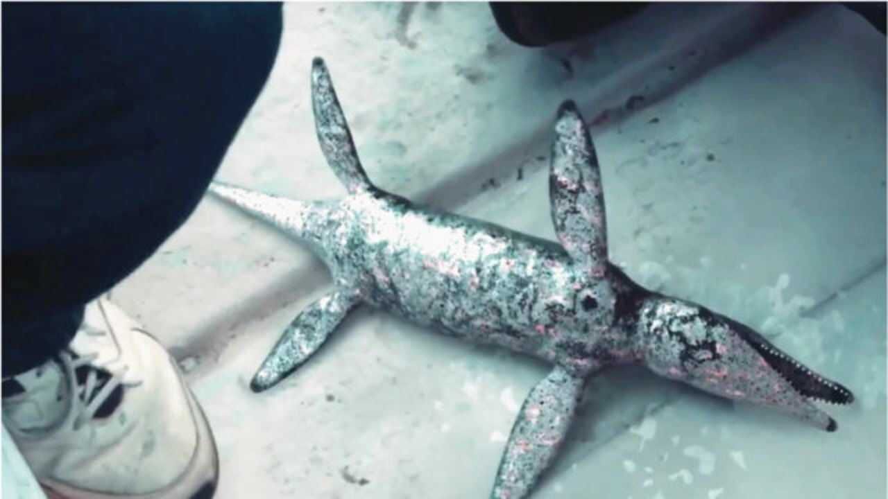 巨型变异鳄鱼变成这个样子,太可爱了