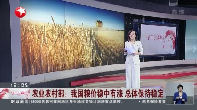 农业农村部:我国粮价稳中有涨 总体保持稳定