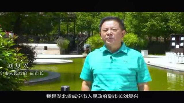 【惠游湖北 市长代言⑪】咸宁副市长刘复兴:欢迎大家来咸宁洗肺养胃!