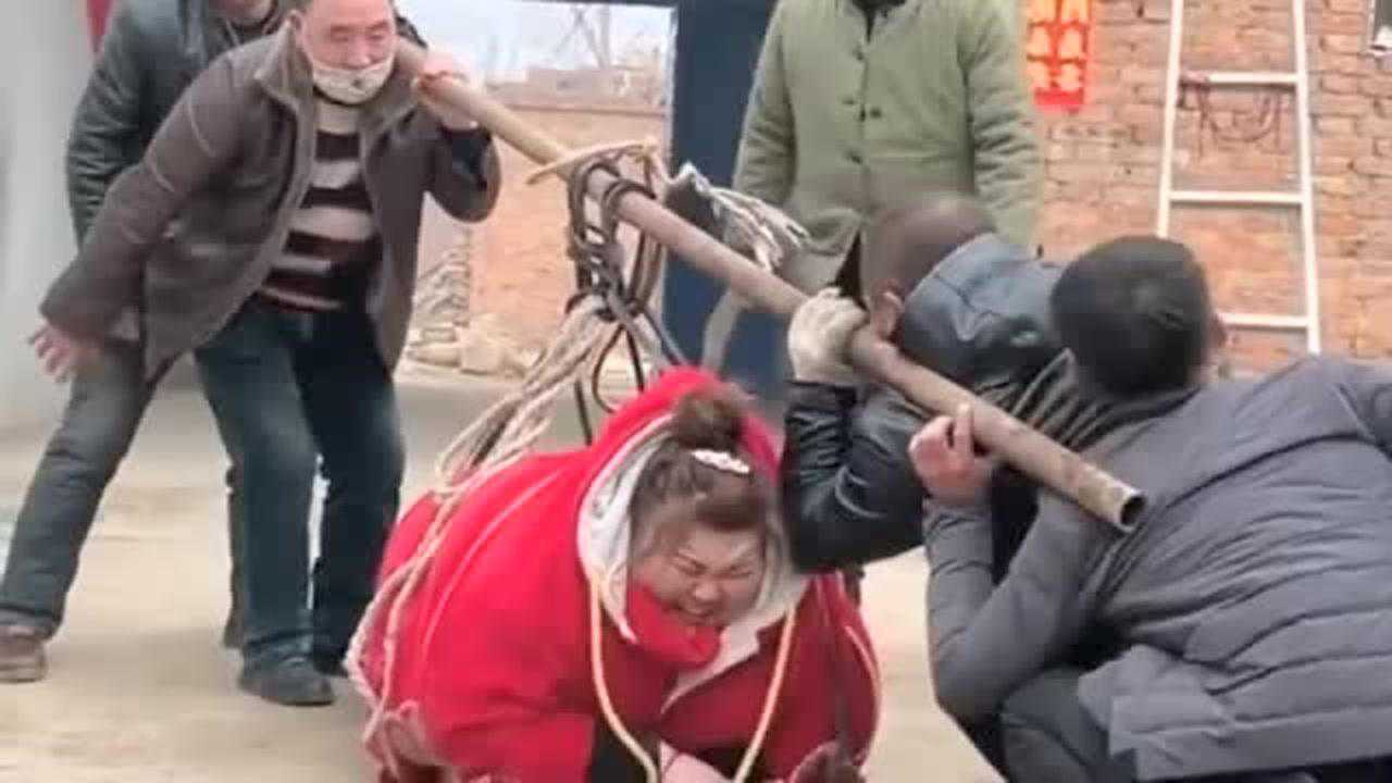 猪出栏啦只是这得多重啊好几个人都抬不动