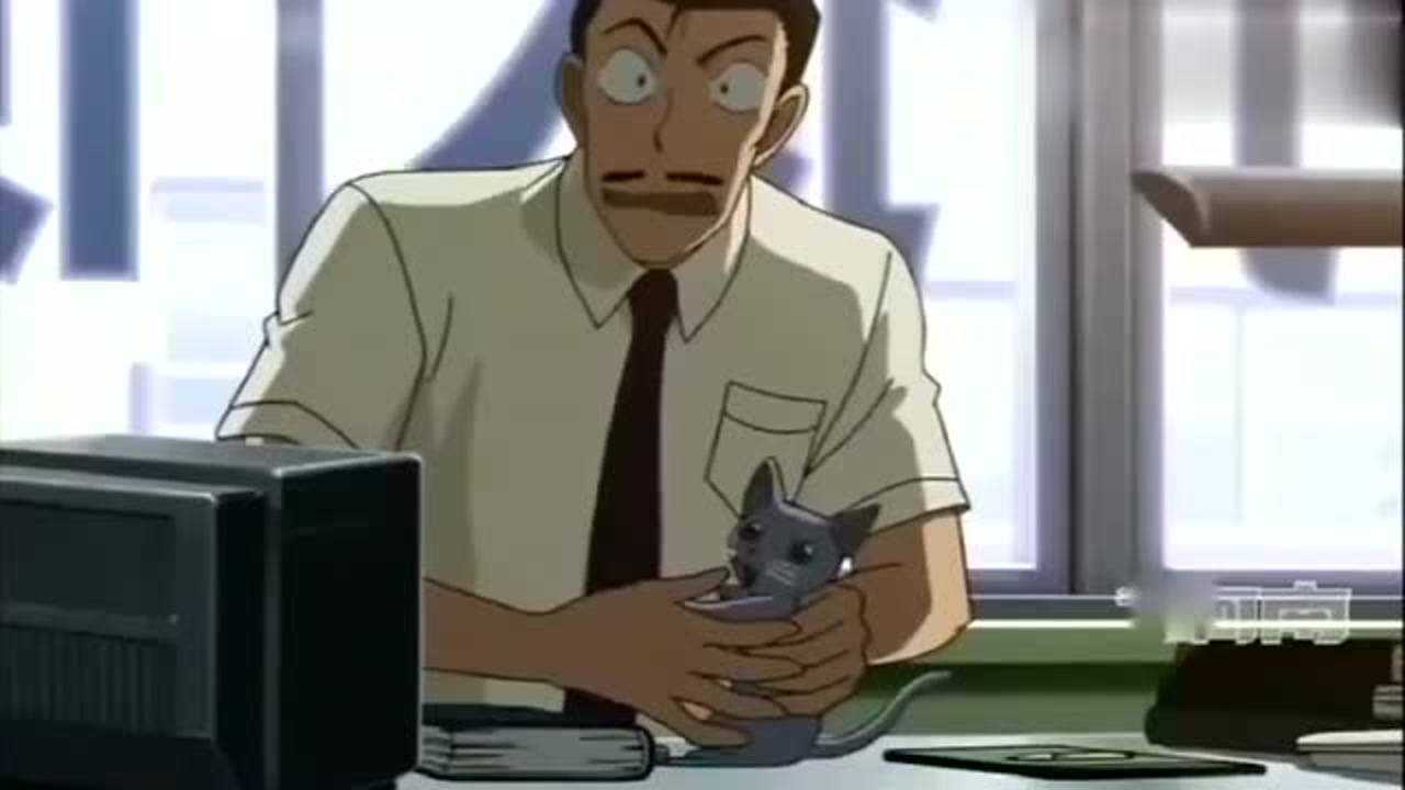 名侦探柯南妃英理给猫起的名字很有寓意小五郎反应挺逗