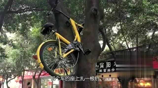 共享单车提高利用率,同时也暴露出一些问题,马未都对此颇有怨言