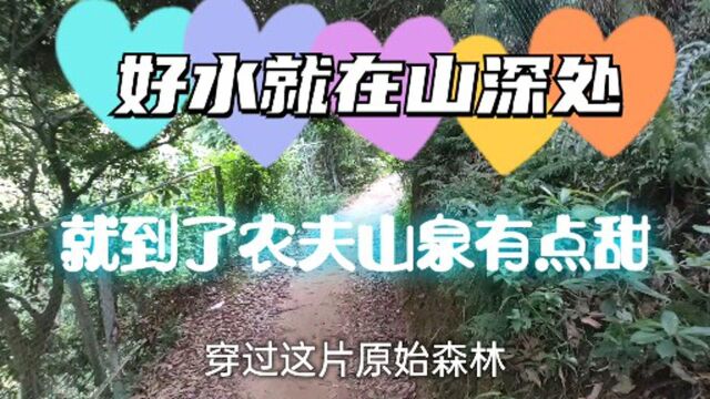 农夫山泉有点甜,农夫山泉不要钱!它躲在大山深处,就在那等你来拉!