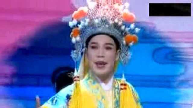 潮剧名家精选唱段《相伴永同心》林初发与蔡明晖演唱