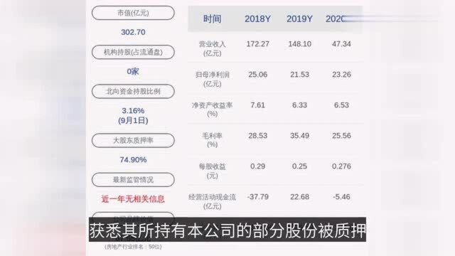 新湖中宝:新湖集团解除质押2.545亿股及质押2.61亿股