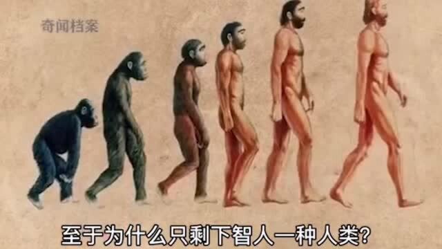 99%的人被误导的人类进化图,说说你被误导多少年?