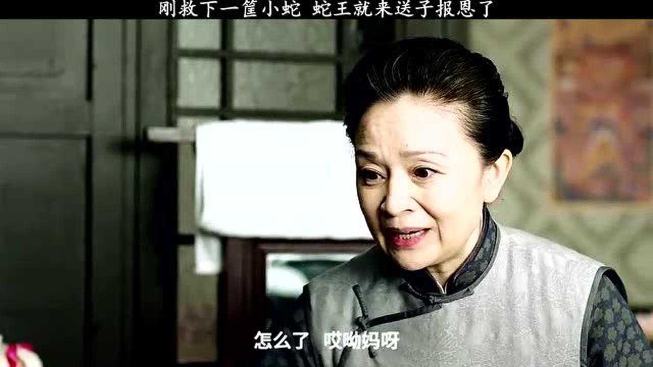 三仙姑救下一条小蛇,没想到蛇王立马就来送子报恩了#正能量#猎人