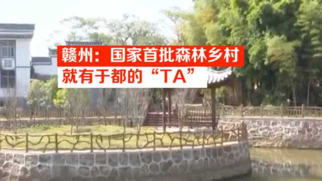 赣州:国家首批森林乡村就有于都的“TA”