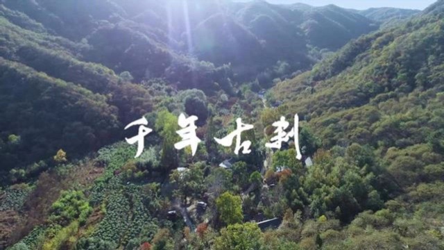 千年古刹,唐宋的庙旧址——鸡公山龙泉寺