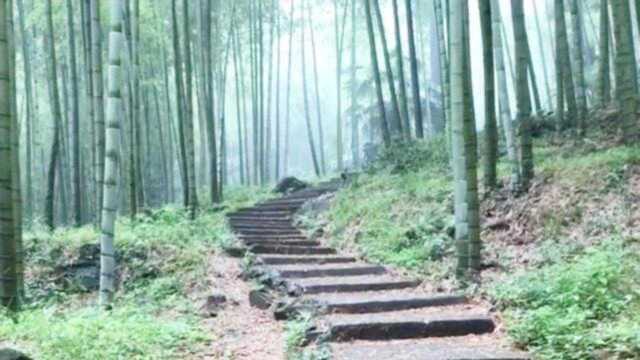 「最火江西」赣州靠椅山风景,这有深山古寺,日暮钟鸣,茗茶芳菲