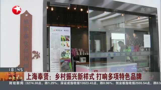 上海奉贤:乡村振兴新样式 打响多项特色品牌