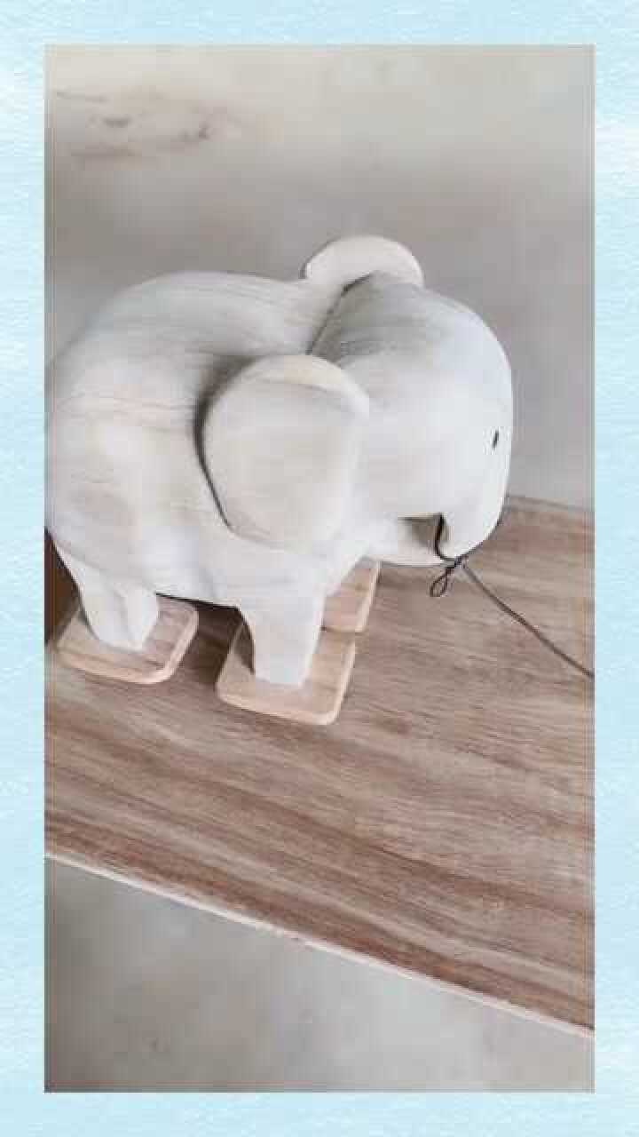 被牵着鼻子走的大象