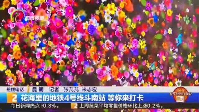 花海里的地铁4号线斗南站 等你来打卡