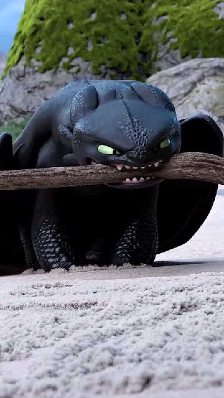 驯龙高手无牙仔呲牙咧嘴装凶看到光煞生气后立马秒怂