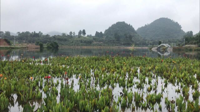 湘西土家族苗族自治州,新建一条五彩乡村旅游公路,猜猜在哪里