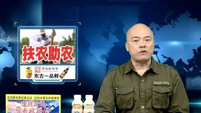 致富先“蜂”促增收 共同酿造 “甜蜜产业”