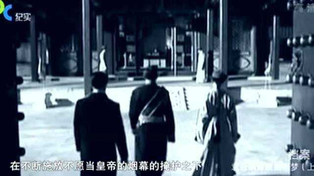 作为“民国大总统”的袁,在他人的盛情请愿下,露出了真面目