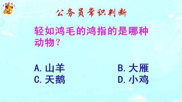 公务员常识判断,轻如鸿毛的鸿指的是哪种动物?难倒了学霸