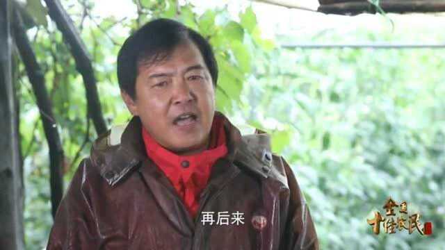 武汉抗疫保供战士——王建兵,普通的青菜,给禁足的人带来希望