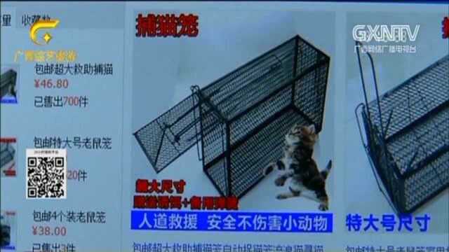 网店销售“捕猫笼”,买家秀却惊现虐猫视频,令人揪心