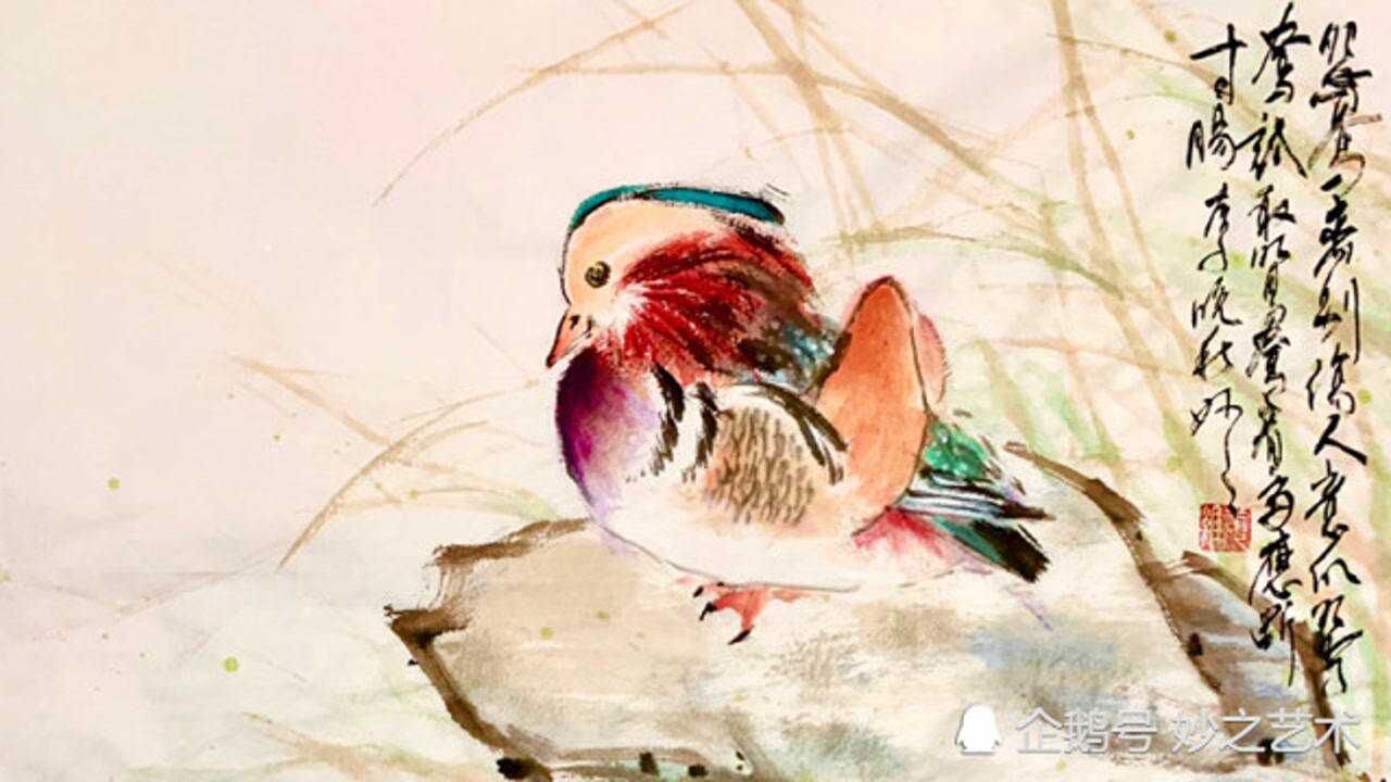 妙之国画写意鸳鸯入门画法|鸳鸯复杂野草更难?