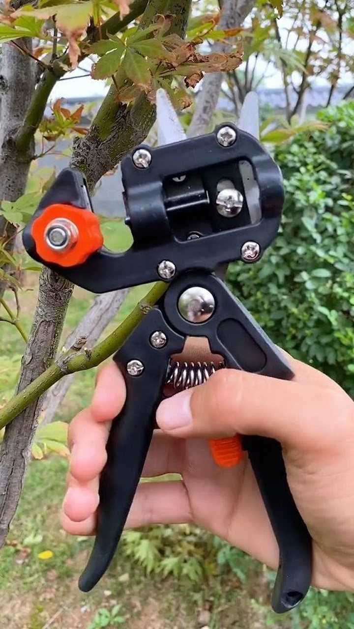 多功能果树钳用来嫁接果树方便又快捷
