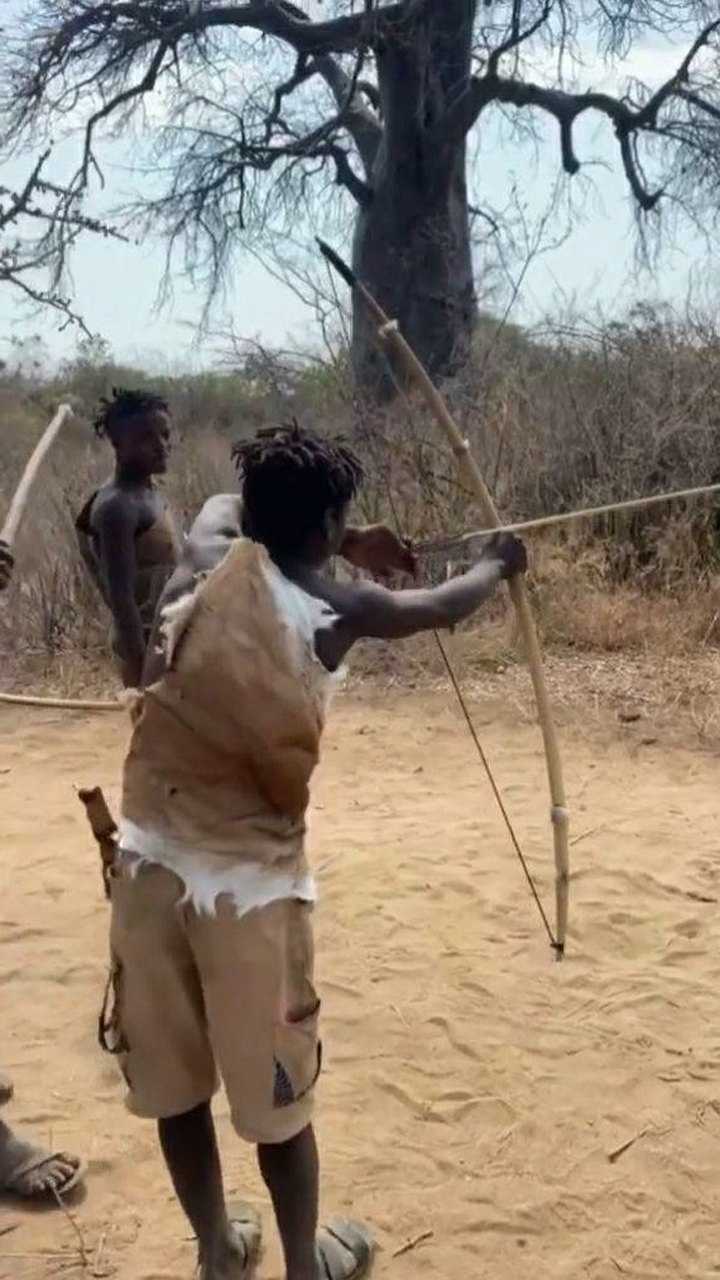 非洲猎人练习射箭