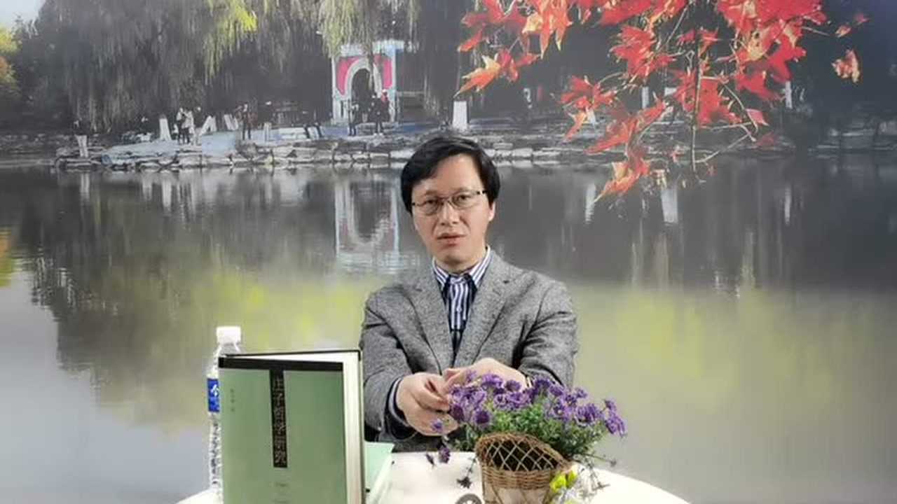 北京大学哲学系教授杨立华：我所理解的庄子哲学_高清1080P在线观看平台_腾讯视频