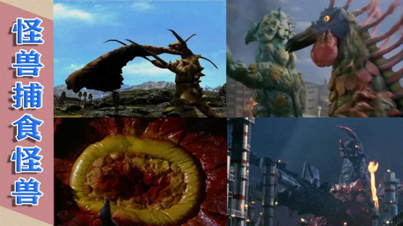 怪兽捕食怪兽的4大场面不用奥特曼出马怪兽就被肢解吃掉了