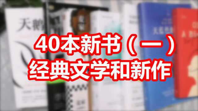 40本新书分享(一)经典文学和名家新作|11月书单|好书推荐