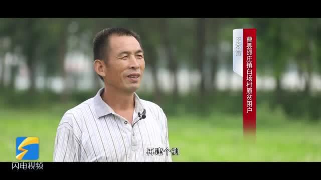 一枝一叶总关情——“小叶菜”成“大产业”助农增收