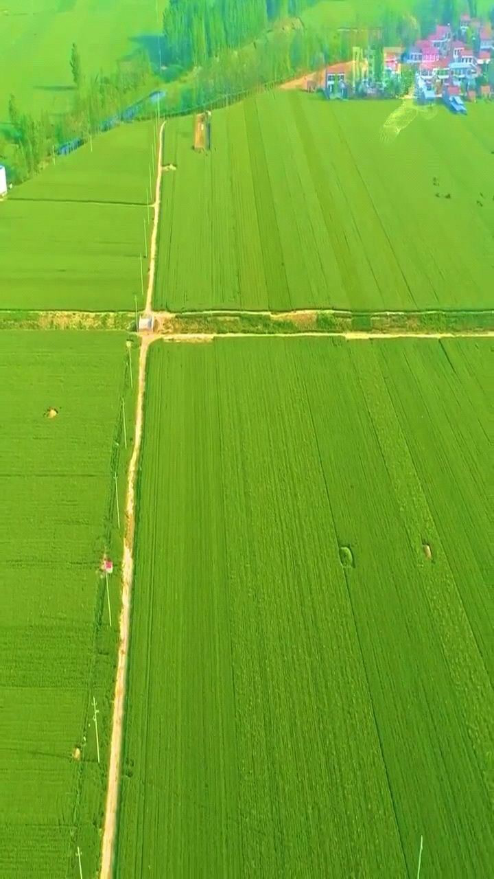 豫东平原,中国粮仓