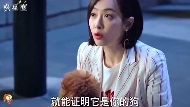 总裁重金寻爱犬,却不敢叫狗真名,原来狗名是他内心的渴望