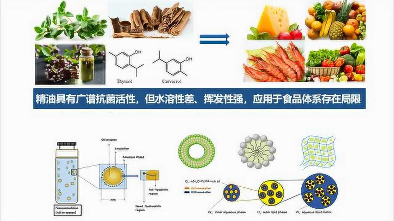 百里香精油抗菌乳液的設計:乳清分離蛋白與殼聚糖鹽酸鹽的層層自組裝