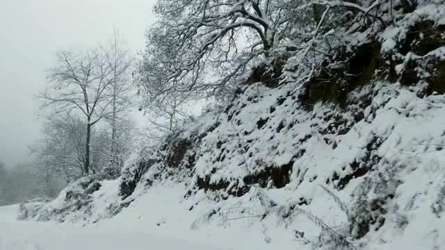 终南雪景(庚子年终南初雪)