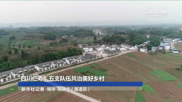 四川仁寿:五支队伍共治美好乡村