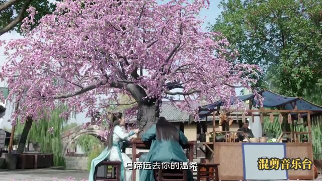 任然中国风歌曲《花雨落》,江南微风和煦,吹落满城花雨