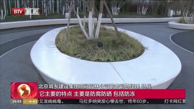 石景山区文化中心完成景观提升工程 实现整体亮相