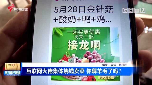 互联网大佬集体烧钱卖菜 你薅羊毛了吗?