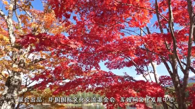 香山红叶(公益歌曲MV)